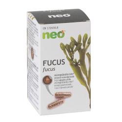 Fucus Microgránulos (45caps)