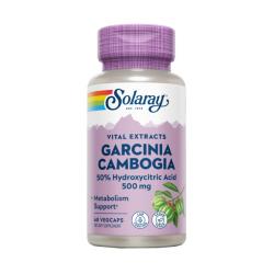 GARCINIA CAMBOGIA 500MG (60 VEGCAPS)	