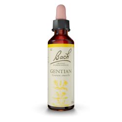 Gentian - Genciana (20ml)