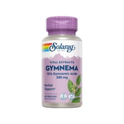 Gymnema 385mg (60 vegcaps)
