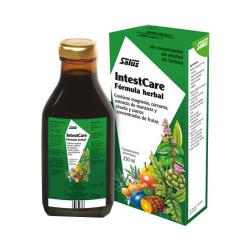 IntestCare Jarabe Salud Intestinal (250 ml.)