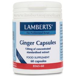 GINGER JENGIBRE (60 CAPSULAS)