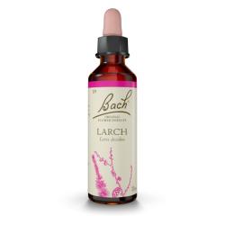 Larch - Alerce (20ml)