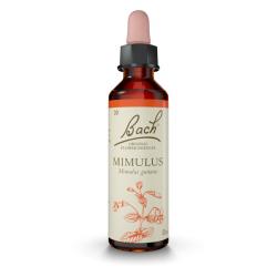 Mimulus - Mímulo (20ml)