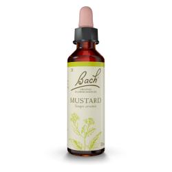 Mustard - Mostaza (20ml)