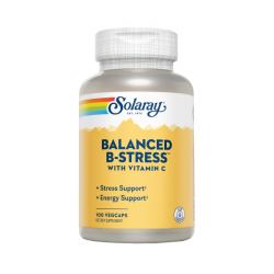 Nutritionally Balanced B-Stress (100 Vegcaps)