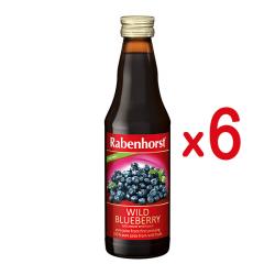 PACK ZUMO ARANDANO SILVESTRE (330ML X 6 UNIDADES)