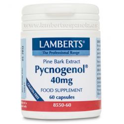 PYCNOGENOL 40MG (60 CAPSULAS)
