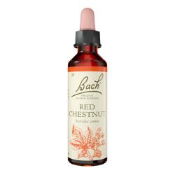 Red Chestnut - Castaño Rojo (20ml)