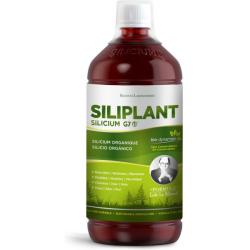 SILICIUM G7 SILIPLANT LIQUIDO (1.000ml)