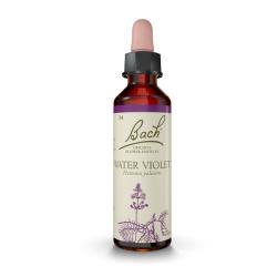 Water Violet - Violeta de Agua (20ml)