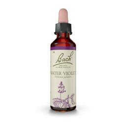 Water Violet - Violeta de Agua (20ml)