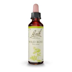 Wild Rose - Escaramujo o Rosa Silvestre (20ml)