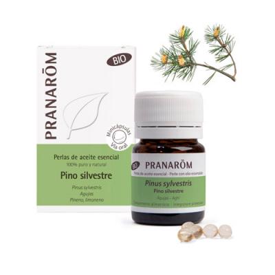 ACEITE ESENCIAL PINO SILVESTRE (60 MINI CAPSULAS )