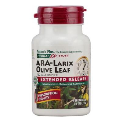 Ara-Larix Hoja de Olivo (30caps)