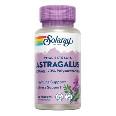 Astragalus 200Mg (30 VegCaps)