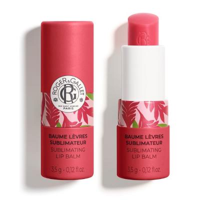 BÁLSAMO DE LABIOS GINGEMBRE ROUGE (3,5G)