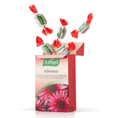 CARAMELOS ECHINACEA ESTUCHE (30G)	