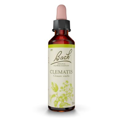 Clematis - Clemátide (20ml)