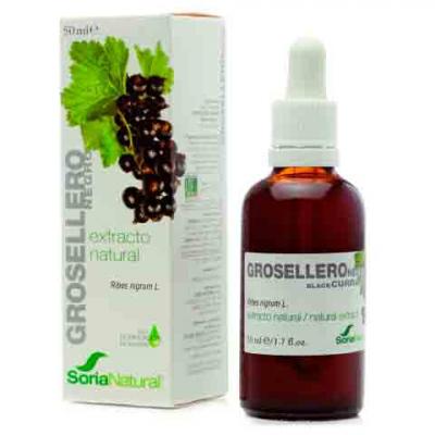 Extracto de Grosellero Negro (50ml)