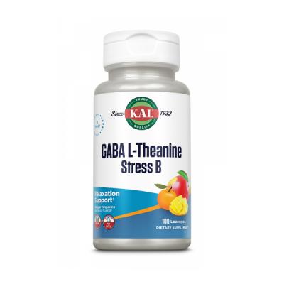GABA L-THEANINA B  (100 COMP.SUBLINGUALES)