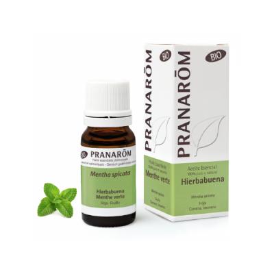ACEITE ESENCIAL HIERBABUENA PARTES AEREAS BIO (10ml)