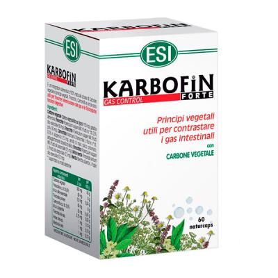 KARBOFIN FORTE (60CAPS) 