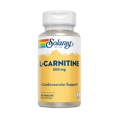 L-Carnitina 500mg (30caps)