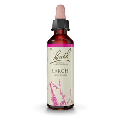 Larch - Alerce (20ml)