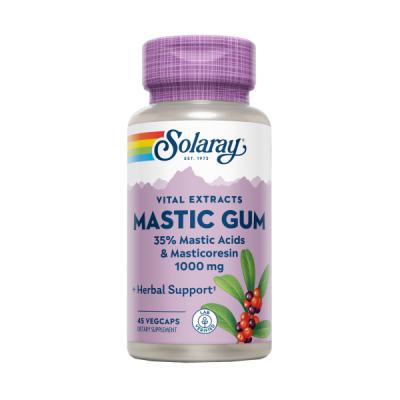 MASTIC GUM 500MG (45 VEGCAPS)