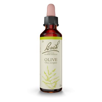 Olive - Olivo (20ml)