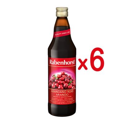 PACK ZUMO ARANDANO ROJO AMERICANO (750ML X 6 UNIDADES)				