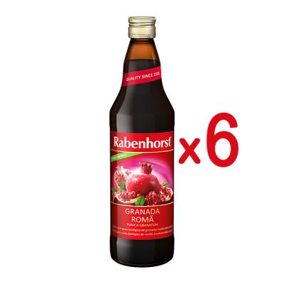 PACK ZUMO ECOLOGICO GRANADA (750ML X 6 UNIDADES)