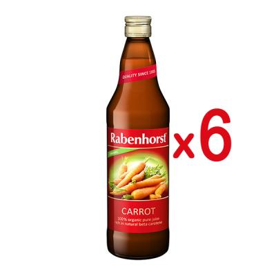 PACK ZUMO ECOLOGICO ZANAHORIA (750ML X 6 UNIDADES)