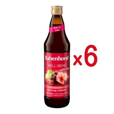 PACK ZUMO WELL-BEING CON HIRRO (750ML X 6 UNIDADES)