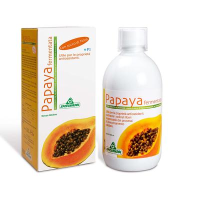 Papaya Fermentada Zumo (500ml)