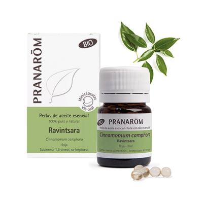 RAVINTSARA HOJA BIO (60 MINICAPSULAS)