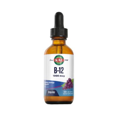 VEGETARIAN B12 1000MCG (GOTAS 53ml)