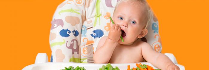 Cómo empezar con el Baby Led Weaning 