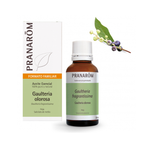 PRANAROM ACEITE ESENCIAL GAULTERIA OLOROSA BIO (30ML)