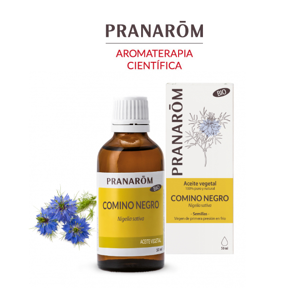 PRANAROM Aceite Vegetal BIO de Comino Negro (50ml)