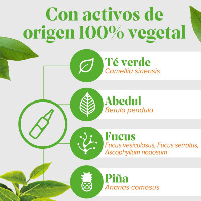 ARKOPHARMA Arkofluido® Quemagrasa Bio (20 ampollas)