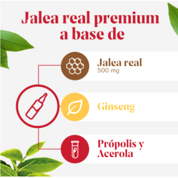ARKOPHARMA ARKOREAL® Jalea Real Energía SIN AZÚCAR (20 ampollas)
