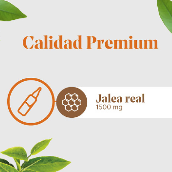 ARKOPHARMA Arkoreal® Jalea Real Fresca 1500mg SIN AZÚCAR (20 ampollas)   