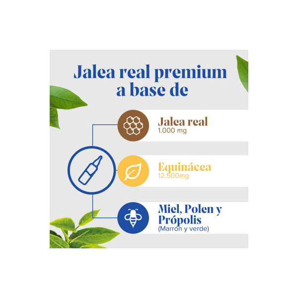ARKOPHARMA ARKOREAL® JALEA REAL INMUNIDAD BIO (20 AMPOLLAS)	