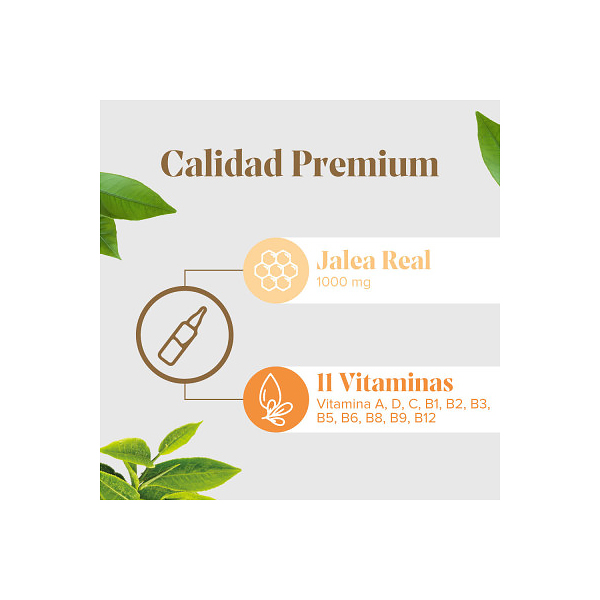 ARKOPHARMA Arkoreal® Vitaminada LIGHT 1.000mg (20 ampollas)      