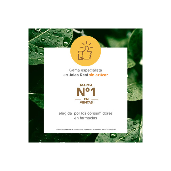 ARKOPHARMA Arkoreal® Vitaminada LIGHT 1.000mg (20 ampollas)      