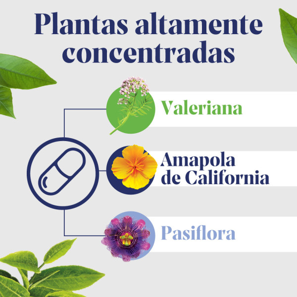 ARKOPHARMA Arkosueño Forte 8H (30 comp.liberación prolongada)