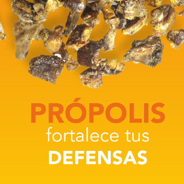 ARKOPHARMA ARKOVOX PRÓPOLIS MENTA solución bebibles (140ml)