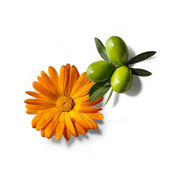 MEDELA BÁLSAMO PEZONES ORGÁNICO (40G)